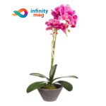 Floare artificiala decorativa Orhidee Violet in ghiveci de ceramica ART06