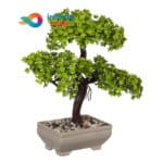 Pomisor artificial decorativ Bonsai in ghiveci de ceramica 22cm ART58 infinitymag (2)